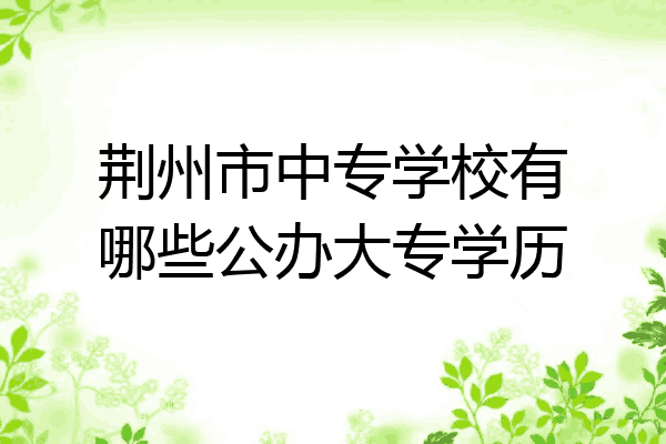 荆州市中专学校有哪些公办大专学历