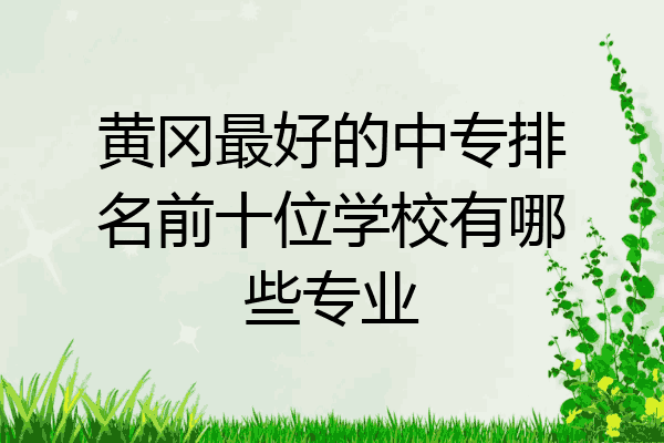 黄冈最好的中专排名前十位学校有哪些专业