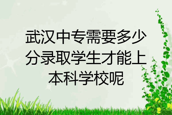 武汉中专需要多少分录取学生才能上本科学校呢
