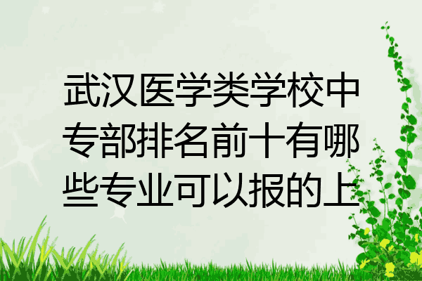武汉医学类学校中专部排名前十有哪些专业可以报的上