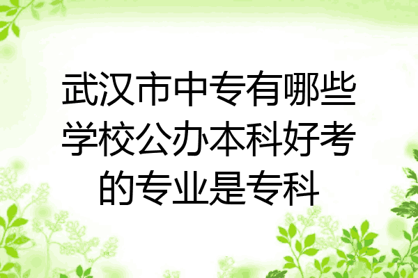 武汉市中专有哪些学校公办本科好考的专业是专科