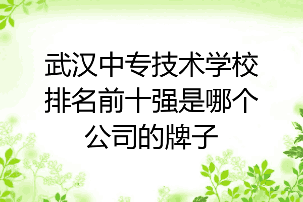 武汉中专技术学校排名前十强是哪个公司的牌子