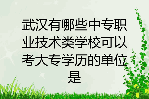 武汉有哪些中专职业技术类学校可以考大专学历的单位是