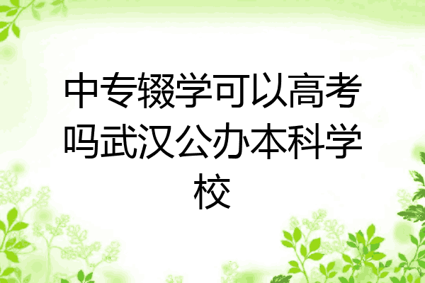 中专辍学可以高考吗武汉公办本科学校
