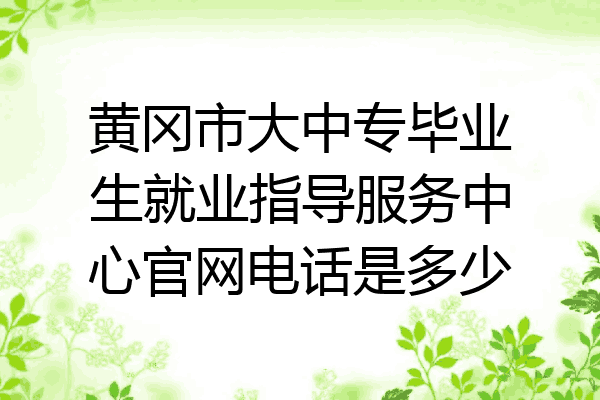 黄冈市大中专毕业生就业指导服务中心官网电话是多少