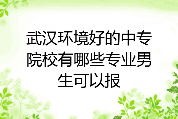 武汉环境好的中专院校有哪些专业男生可以报