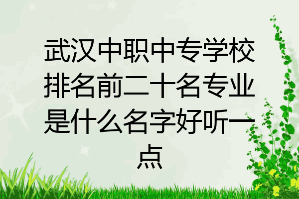武汉中职中专学校排名前二十名专业是什么名字好听一点