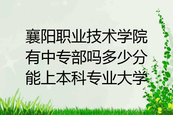 襄阳职业技术学院有中专部吗多少分能上本科专业大学