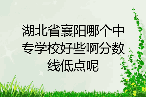 湖北省襄阳哪个中专学校好些啊分数线低点呢
