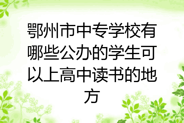 鄂州市中专学校有哪些公办的学生可以上高中读书的地方