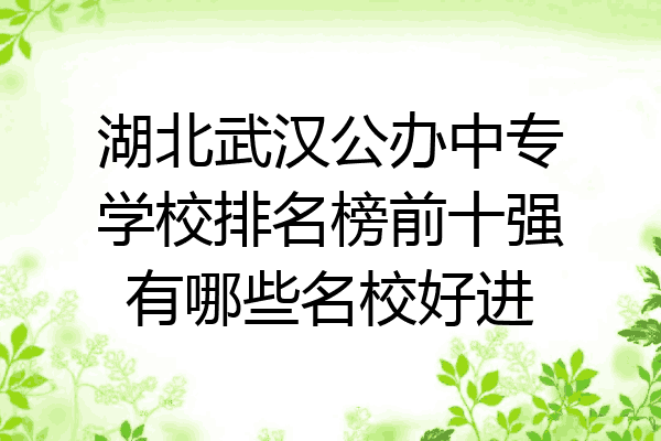 湖北武汉公办中专学校排名榜前十强有哪些名校好进
