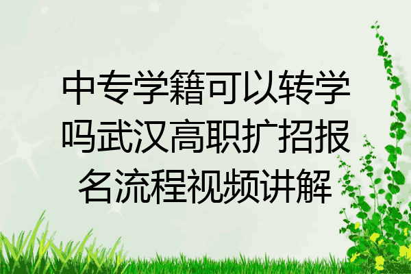 中专学籍可以转学吗武汉高职扩招报名流程视频讲解