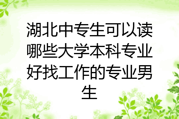 湖北中专生可以读哪些大学本科专业好找工作的专业男生