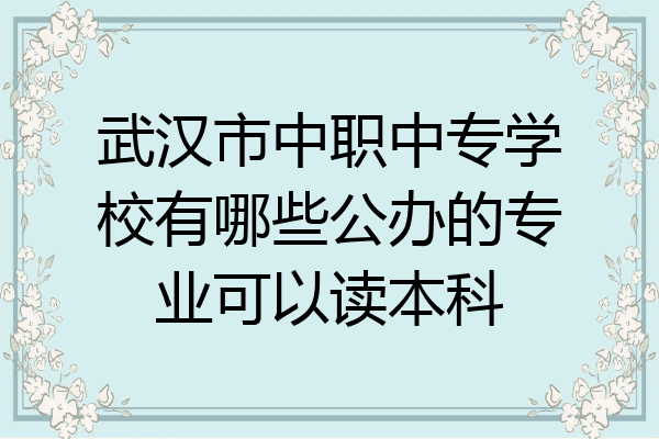 武汉市中职中专学校有哪些公办的专业可以读本科