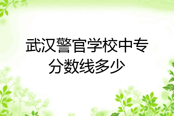 武汉警官学校中专分数线多少
