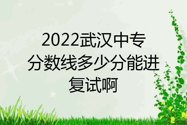 2022武汉中专分数线多少分能进复试啊