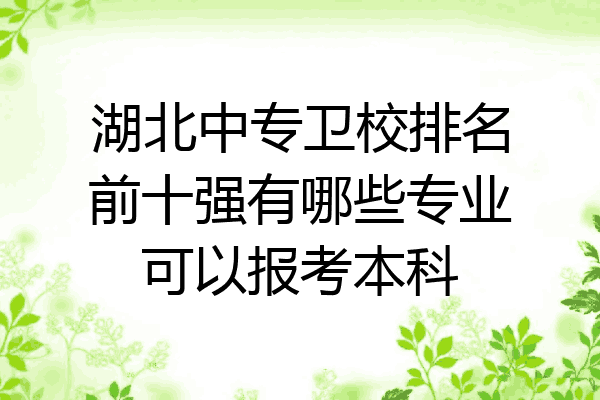 湖北中专卫校排名前十强有哪些专业可以报考本科