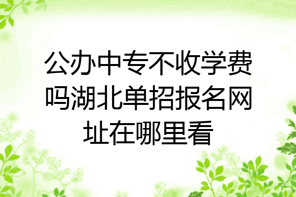 公办中专不收学费吗湖北单招报名网址在哪里看