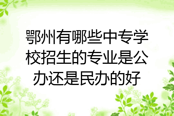鄂州有哪些中专学校招生的专业是公办还是民办的好