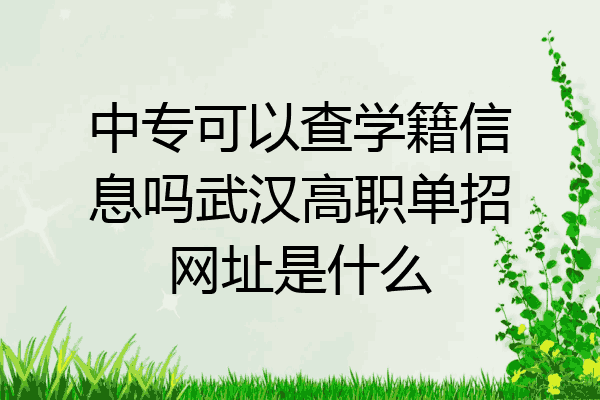 中专可以查学籍信息吗武汉高职单招网址是什么