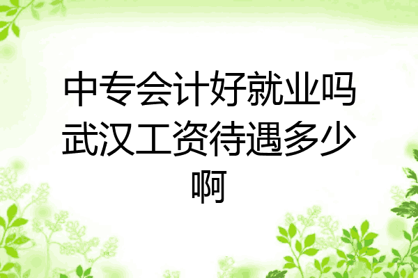 中专会计好就业吗武汉工资待遇多少啊