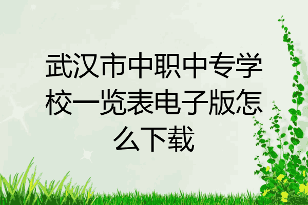 武汉市中职中专学校一览表电子版怎么下载