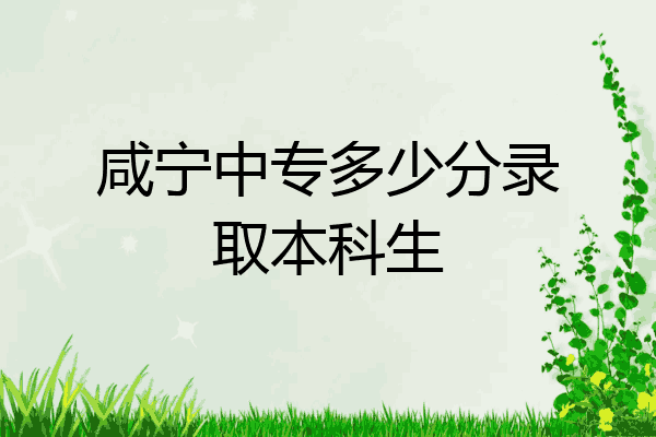 咸宁中专多少分录取本科生