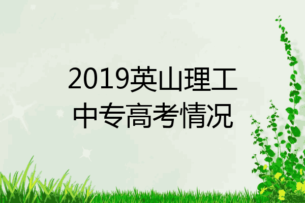 2019英山理工中专高考情况