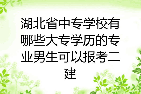 湖北省中专学校有哪些大专学历的专业男生可以报考二建