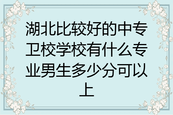 湖北比较好的中专卫校学校有什么专业男生多少分可以上
