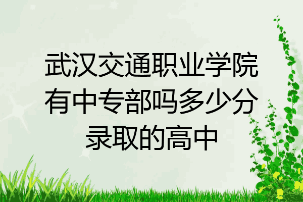 武汉交通职业学院有中专部吗多少分录取的高中