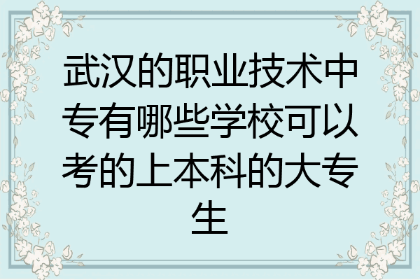 武汉的职业技术中专有哪些学校可以考的上本科的大专生