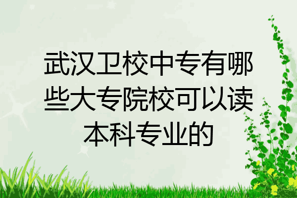 武汉卫校中专有哪些大专院校可以读本科专业的