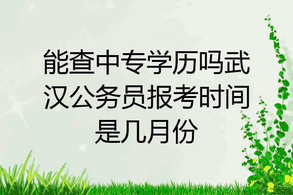 能查中专学历吗武汉公务员报考时间是几月份