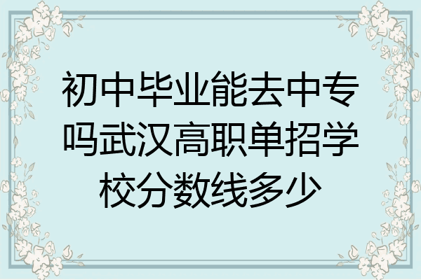 初中毕业能去中专吗武汉高职单招学校分数线多少