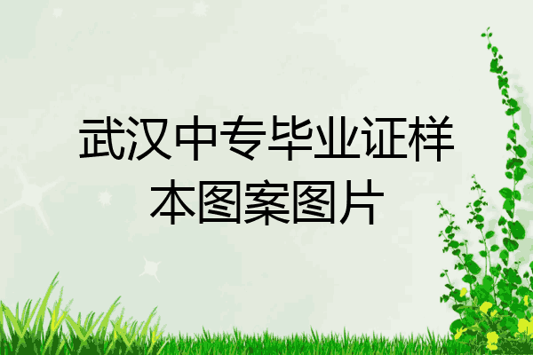 武汉中专毕业证样本图案图片
