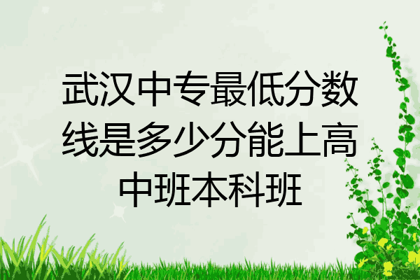 武汉中专最低分数线是多少分能上高中班本科班