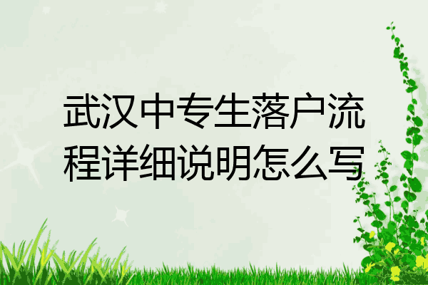 武汉中专生落户流程详细说明怎么写