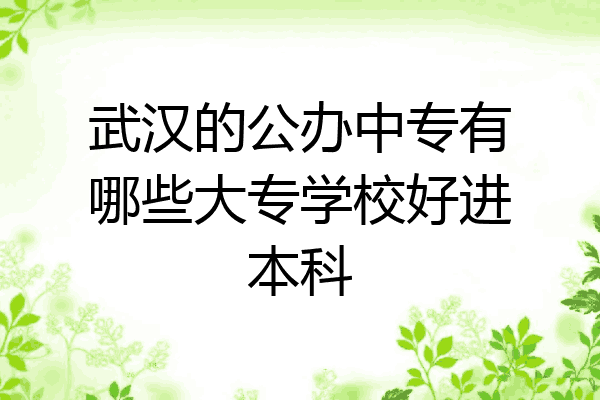 武汉的公办中专有哪些大专学校好进本科