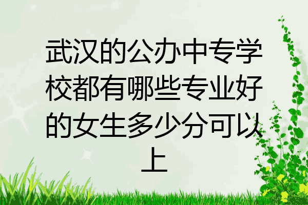 武汉的公办中专学校都有哪些专业好的女生多少分可以上