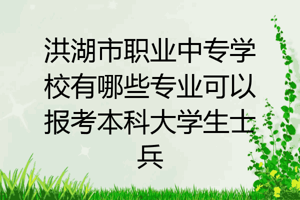 洪湖市职业中专学校有哪些专业可以报考本科大学生士兵