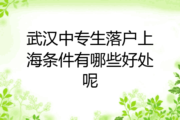 武汉中专生落户上海条件有哪些好处呢