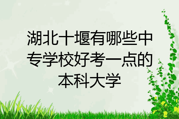 湖北十堰有哪些中专学校好考一点的本科大学