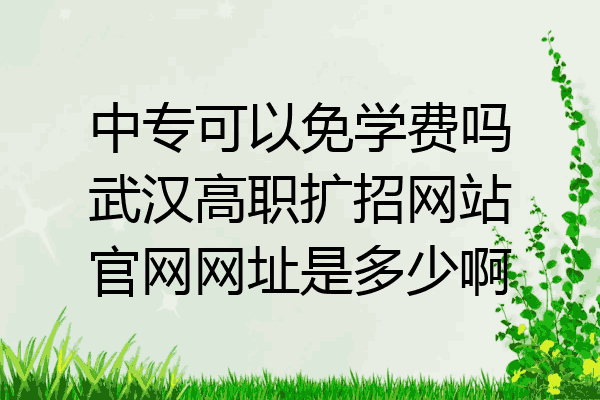 中专可以免学费吗武汉高职扩招网站官网网址是多少啊