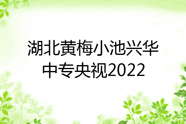 湖北黄梅小池兴华中专央视2022
