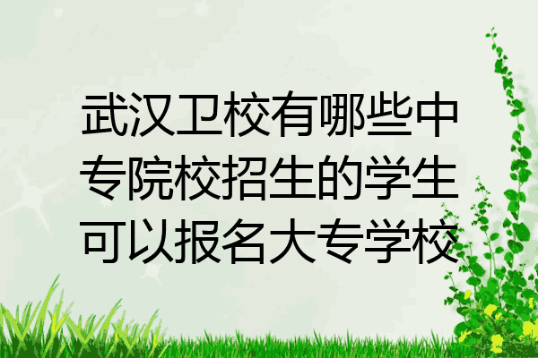 武汉卫校有哪些中专院校招生的学生可以报名大专学校
