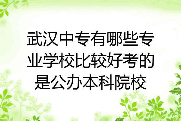 武汉中专有哪些专业学校比较好考的是公办本科院校