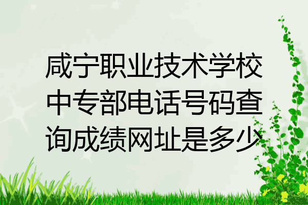 咸宁职业技术学校中专部电话号码查询成绩网址是多少