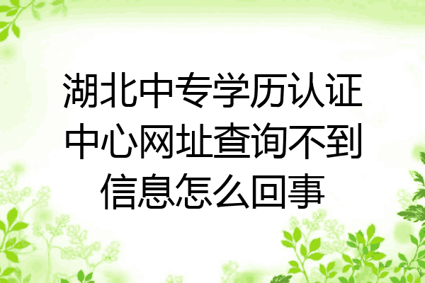 湖北中专学历认证中心网址查询不到信息怎么回事