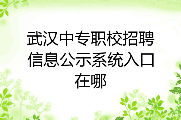 武汉中专职校招聘信息公示系统入口在哪